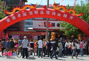 国产精品馆,匠心独运，传承与创新并重的文化瑰宝之旅